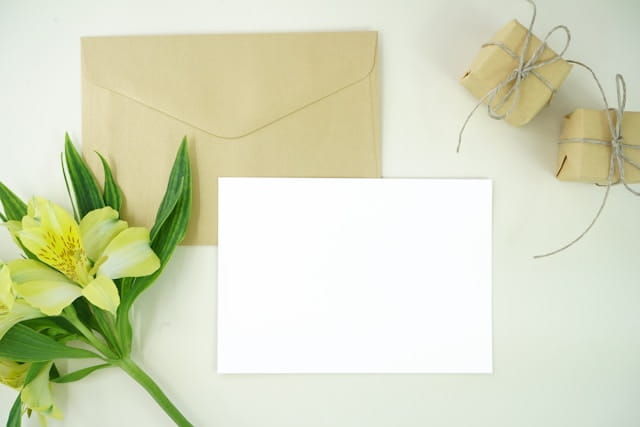 Cover Image for Master Email Campaign Creation: The Complete SelfMailKit Guide